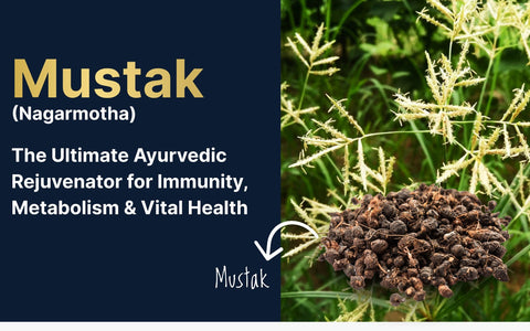 Mustak (Nagarmotha): The Ultimate Ayurvedic Rejuvenator for Immunity, Metabolism & Vital Health