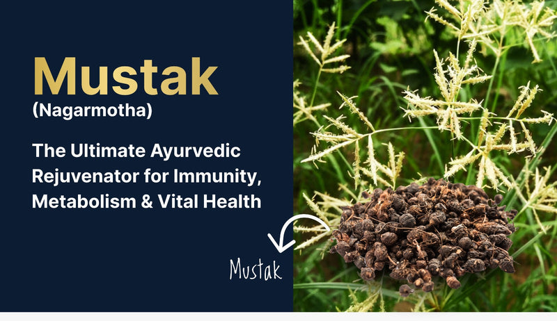 Mustak (Nagarmotha): The Ultimate Ayurvedic Rejuvenator for Immunity, Metabolism & Vital Health