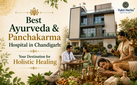 Best Ayurveda & Panchakarma Hospital in Chandigarh: Your Destination for Holistic Healing