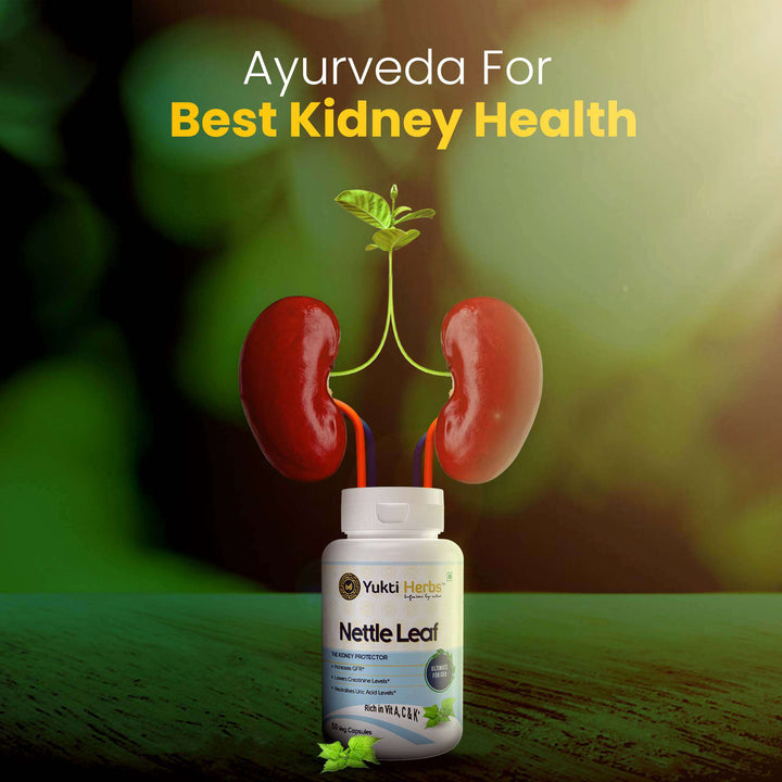 Ayurvedic Medicine for Kidney Health