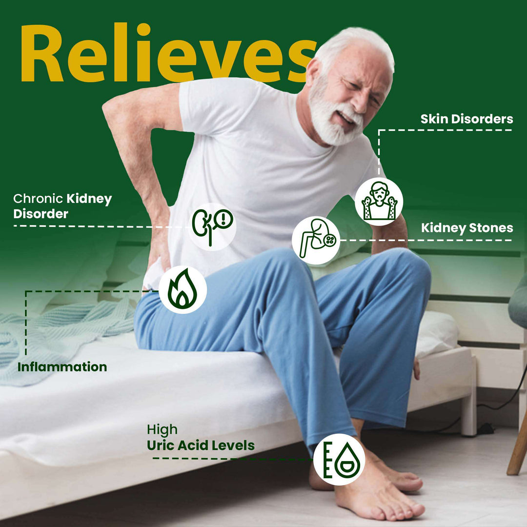 Ayurvedic Medicine to Lowers Creatinine Levels