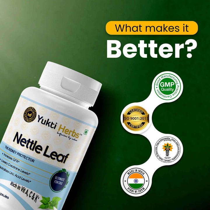 Nettle Leaf Herbal remedies for UTI